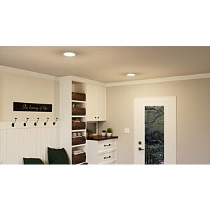 Quoizel Outskirts 8 Inch Ceiling Light in Brushed Nickel