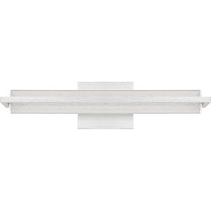 Quoizel Rosalie 20 Inch Bathroom Vanity Light in Brushed Aluminum