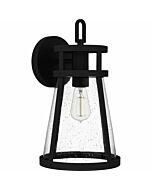 Barber 1-Light Outdoor Lantern in Matte Black