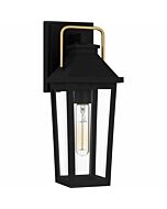 Buckley 1-Light Outdoor Lantern in Matte Black