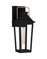 Buckley 1-Light Outdoor Lantern in Matte Black