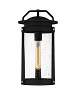 Clifton 1-Light Outdoor Lantern in Earth Black