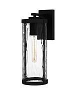 Culpo 1-Light Outdoor Lantern in Matte Black