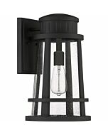 Quoizel Dunham 10 Inch Outdoor Hanging Light in Earth Black