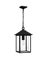 Fletcher 1-Light Outdoor Lantern in Earth Black