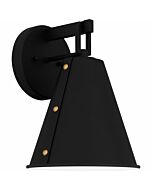 Hyde 1-Light Outdoor Lantern in Matte Black