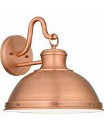 Jameson 1-Light Outdoor Lantern in Aged Copper