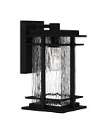 Quoizel One Light Outdoor Wall Mount McAlister in Earth Black