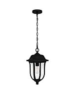 Mulberry 1-Light Outdoor Lantern in Matte Black