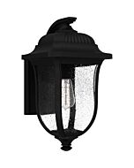 Mulberry 1-Light Outdoor Lantern in Matte Black