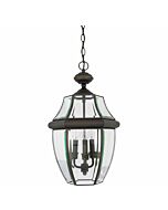 Quoizel Newbury 3 Light 13 Inch Outdoor Hanging Light in Medici Bronze