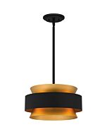 Quoizel Three Light Pendant Quoizel Pendant in Earth Black